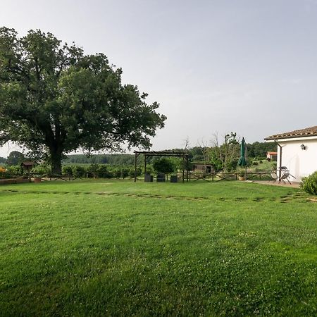Agriturismo Il Poggio Vetralla Dış mekan fotoğraf
