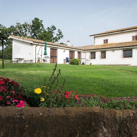 Agriturismo Il Poggio Vetralla Dış mekan fotoğraf
