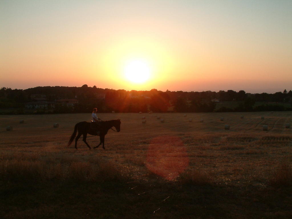 Agriturismo Il Poggio Vetralla Dış mekan fotoğraf