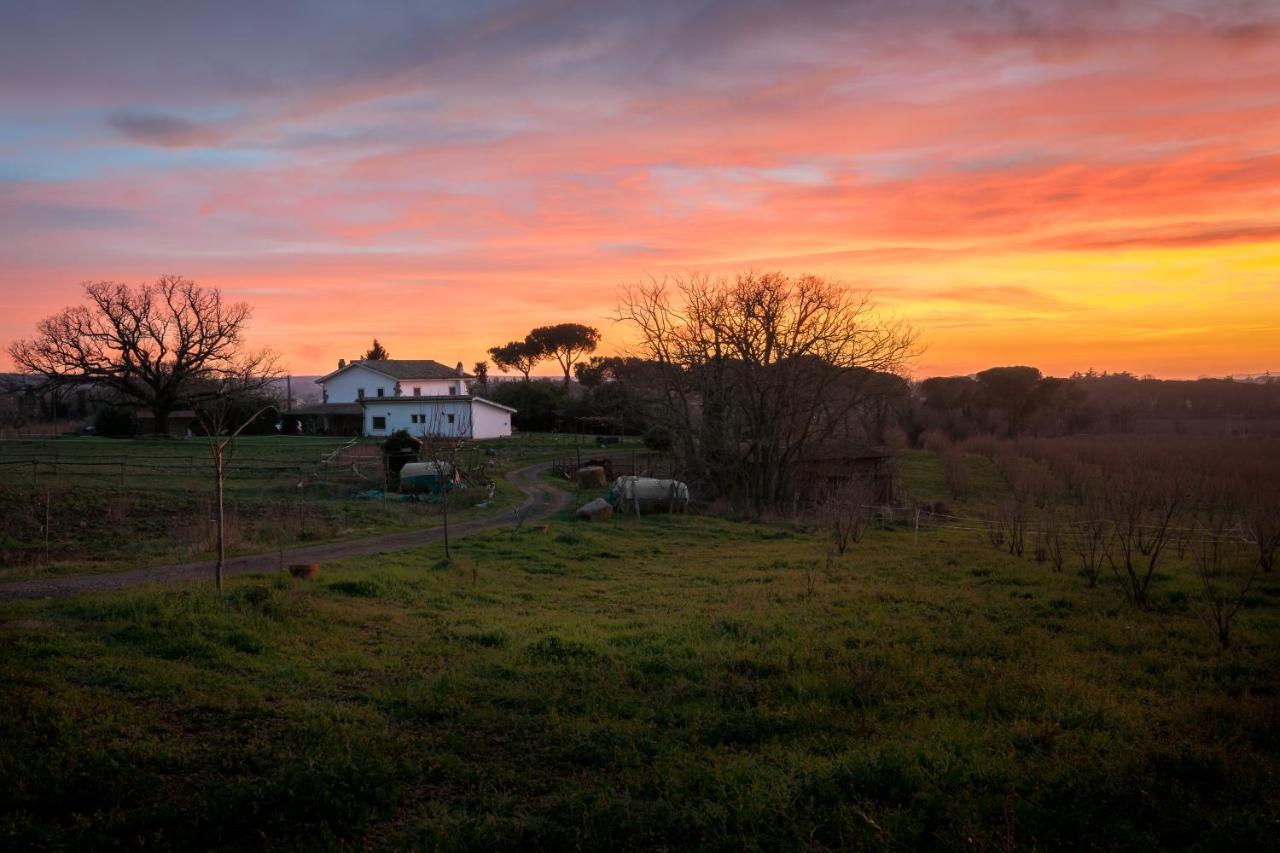 Agriturismo Il Poggio Vetralla Dış mekan fotoğraf