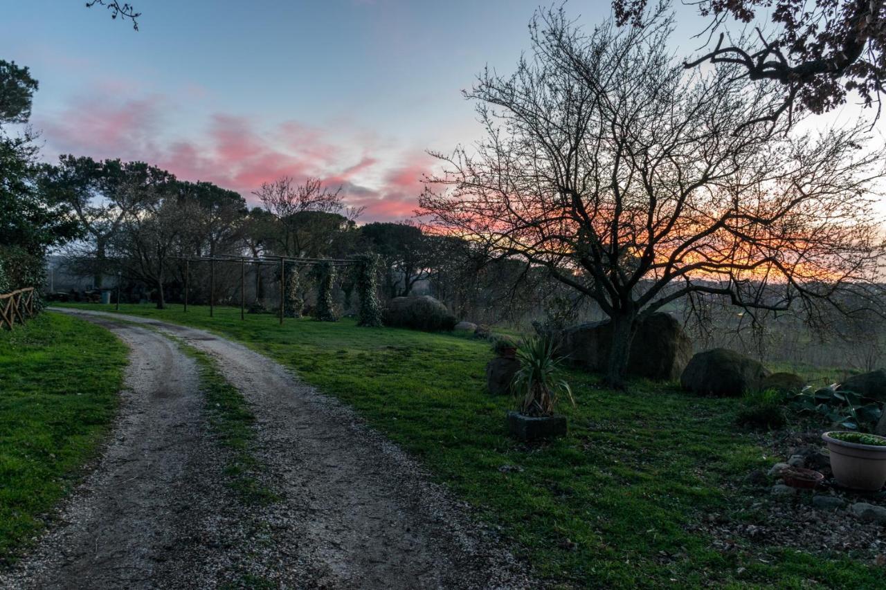 Agriturismo Il Poggio Vetralla Dış mekan fotoğraf