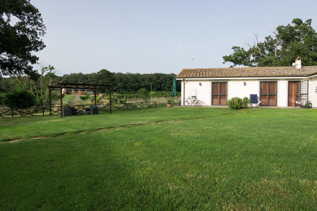 Agriturismo Il Poggio Vetralla Dış mekan fotoğraf