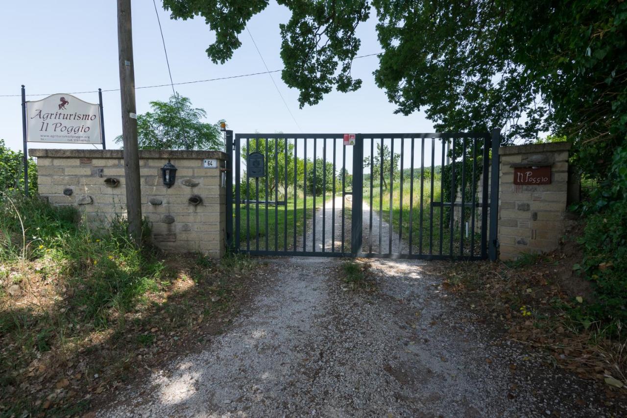 Agriturismo Il Poggio Vetralla Dış mekan fotoğraf