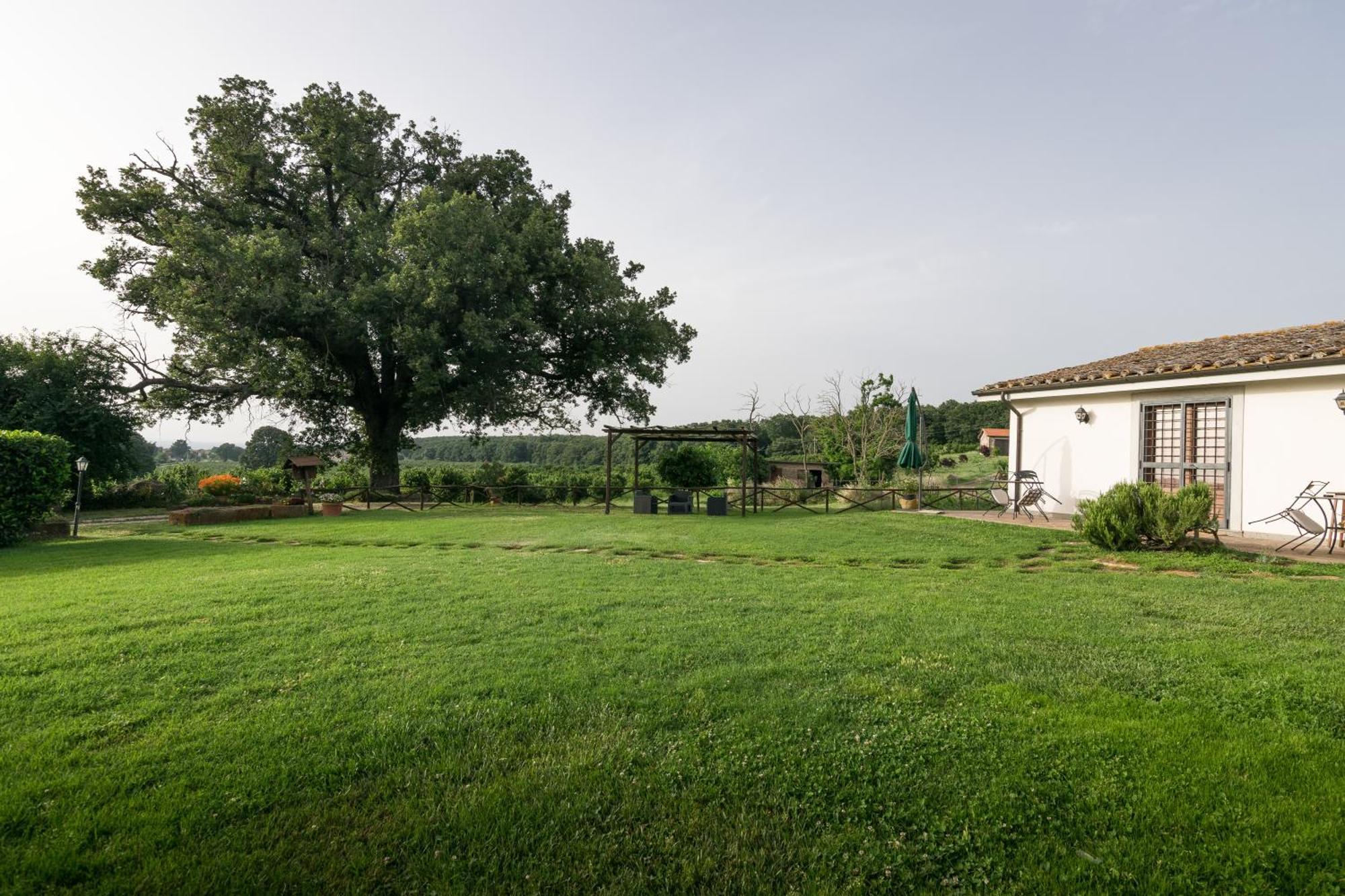 Agriturismo Il Poggio Vetralla Dış mekan fotoğraf