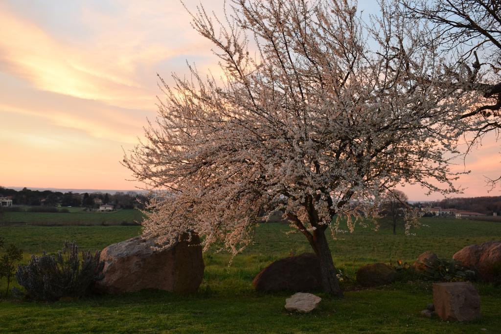 Agriturismo Il Poggio Vetralla Dış mekan fotoğraf