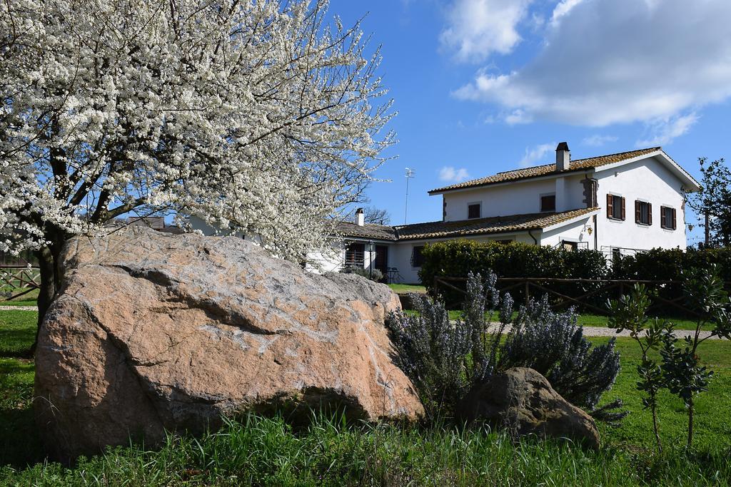 Agriturismo Il Poggio Vetralla Dış mekan fotoğraf